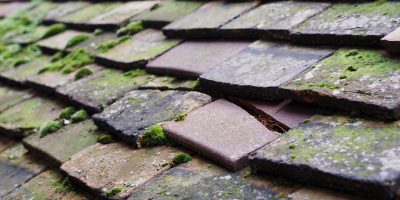 Cowley roof repair costs